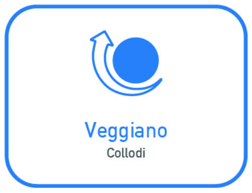 Collodi