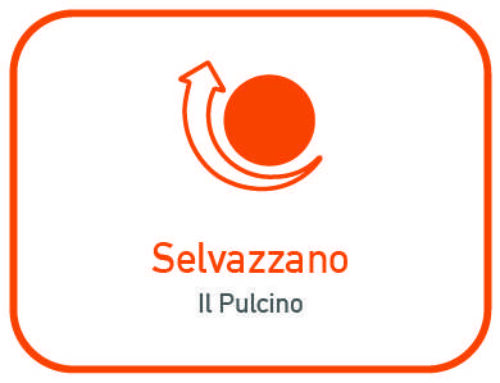 Il Pulcino